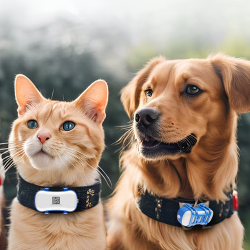 Pourquoi un collier GPS est essentiel pour votre animal ?